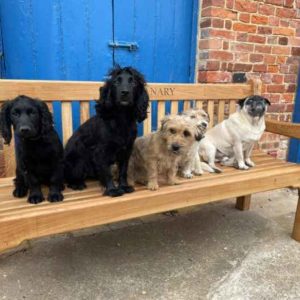 Benches