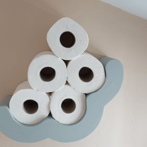 Toilet Roll Cloud Storage
