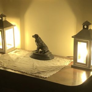 Lantern Lights